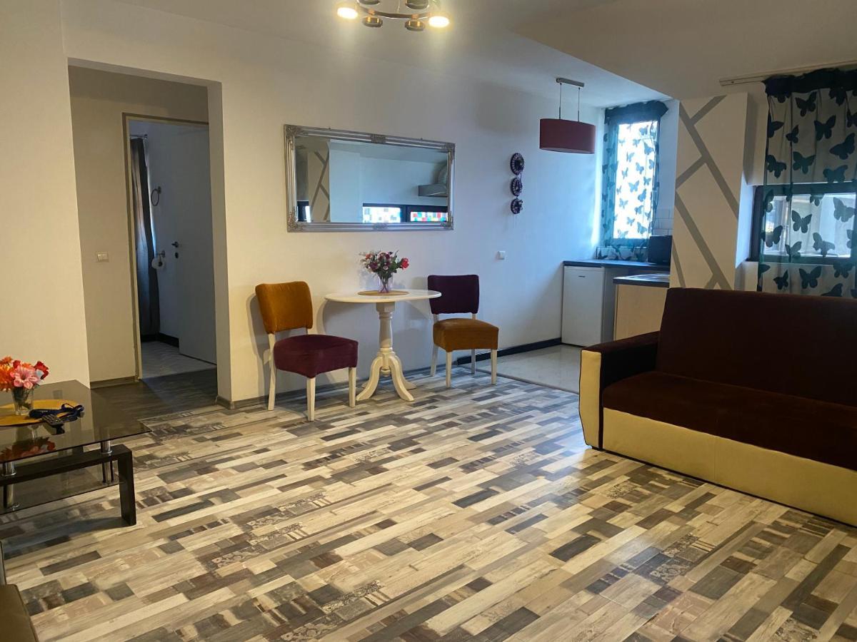 The Vintage - Wonderful Apartment In Best Location Craiova Exterior photo