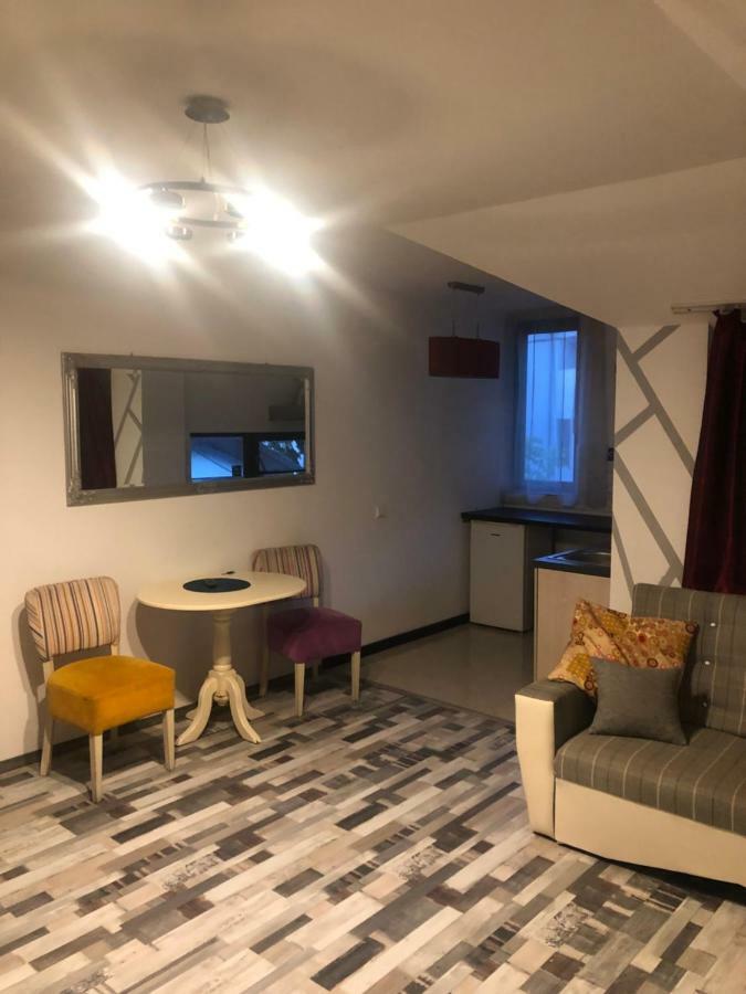 The Vintage - Wonderful Apartment In Best Location Craiova Exterior photo